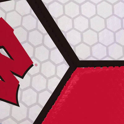 Wisconsin Soccer Ball