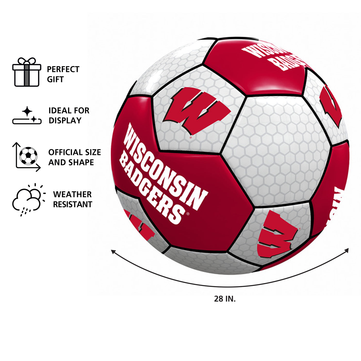 Wisconsin Soccer Ball