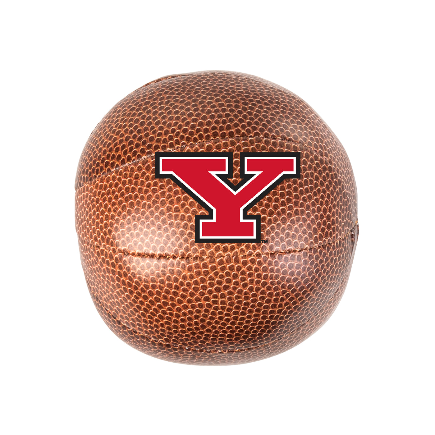 Youngstown State Micro Soft Basketball