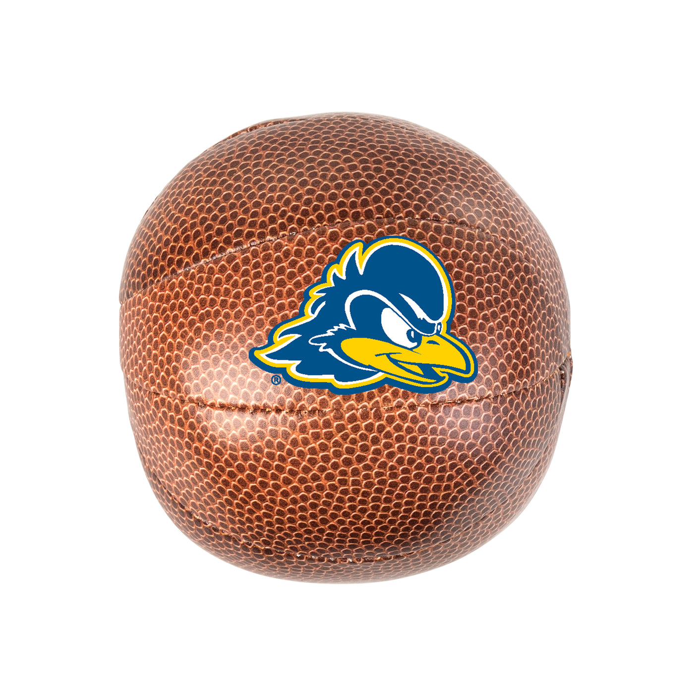 Delaware Micro Soft Basketball