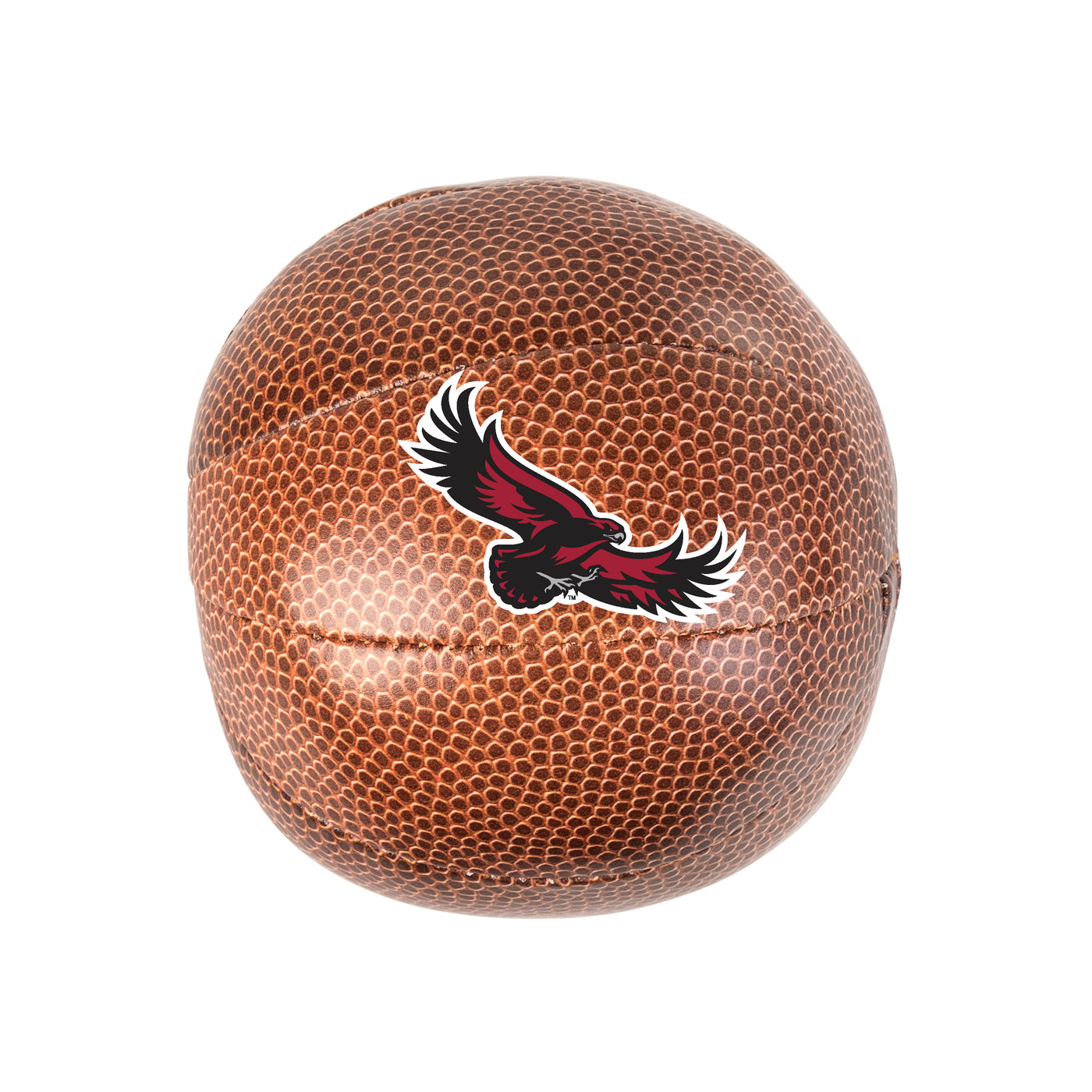 St. Joseph's Micro Soft Basketball