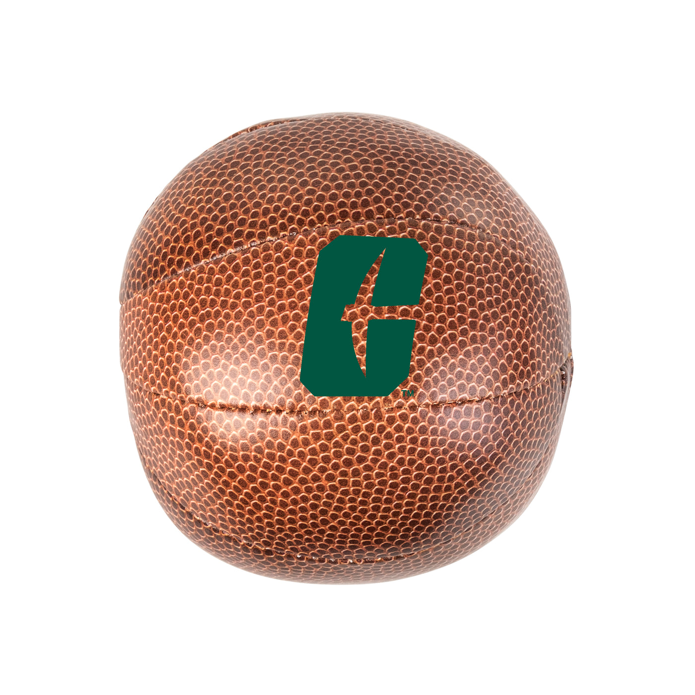 NC Charlotte Micro Soft Basketball