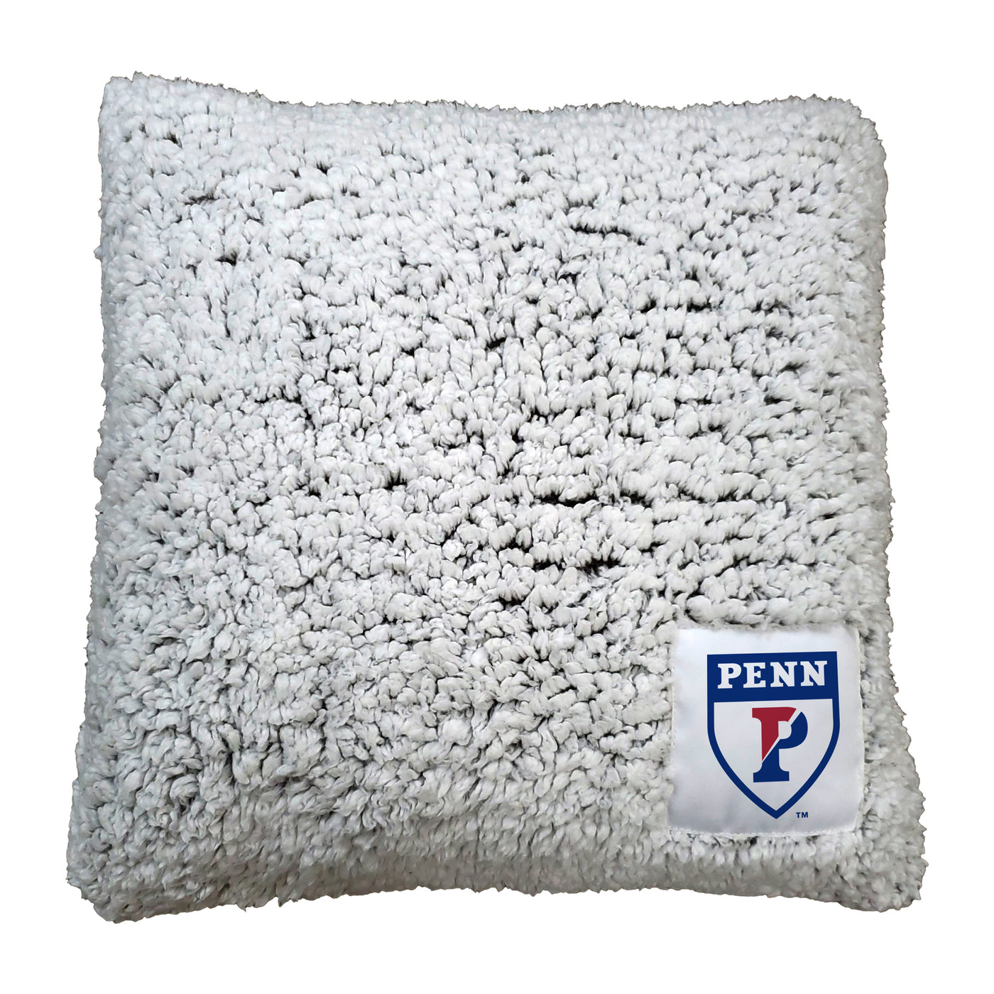 Pennsylvania Frosty Throw Pillow - Logo Brands