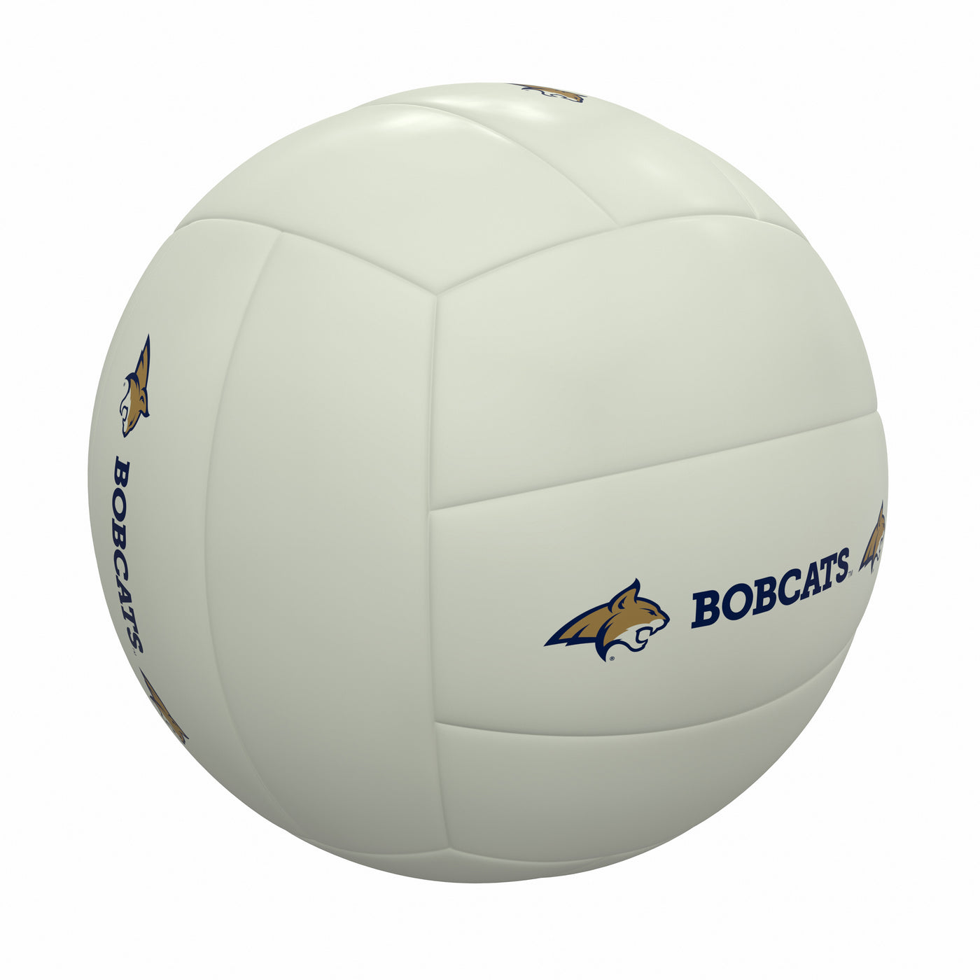 Montana State White volleyball