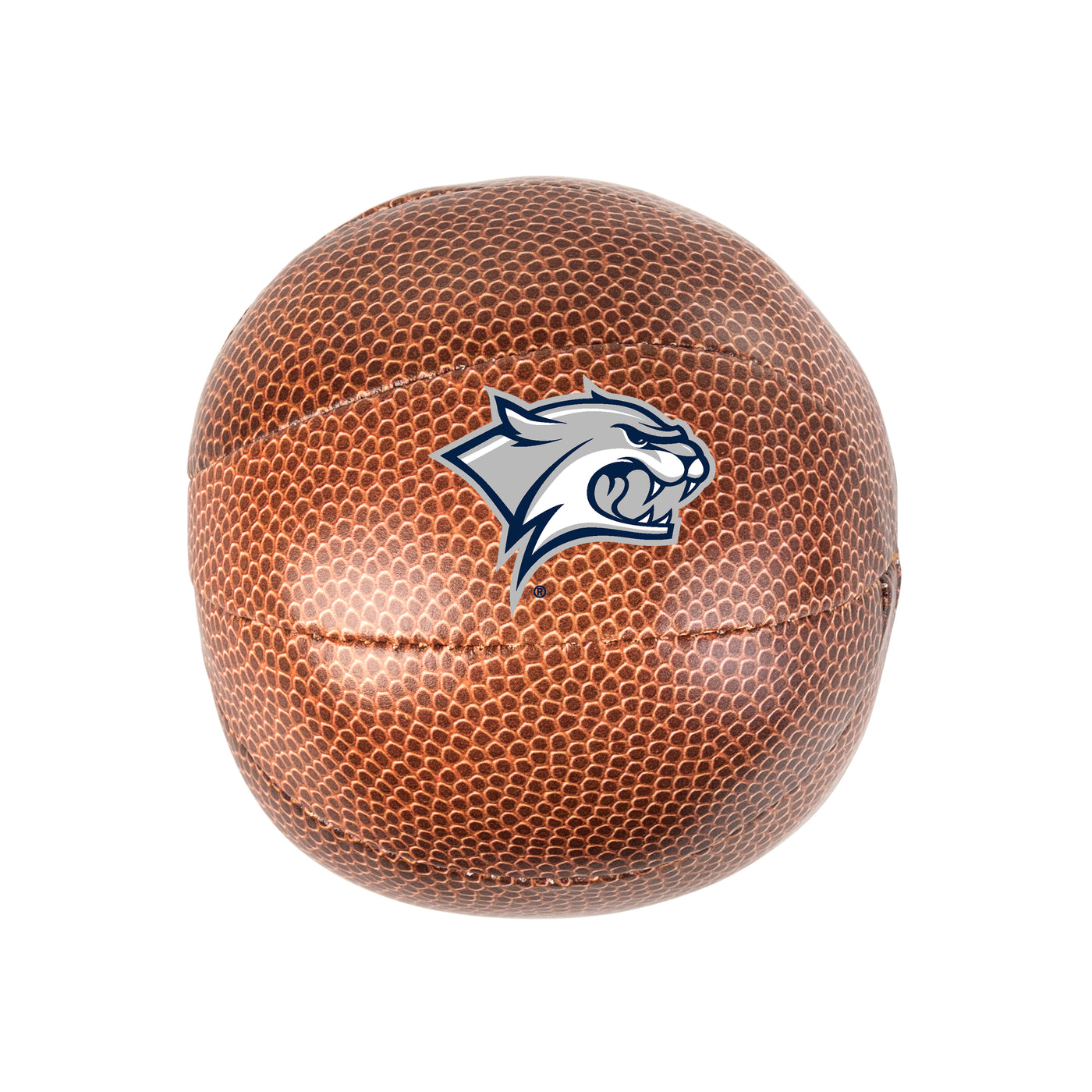New Hampshire Micro Soft Basketball