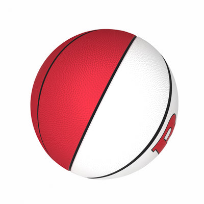 Rutgers Mini-Size Autograph Basketball