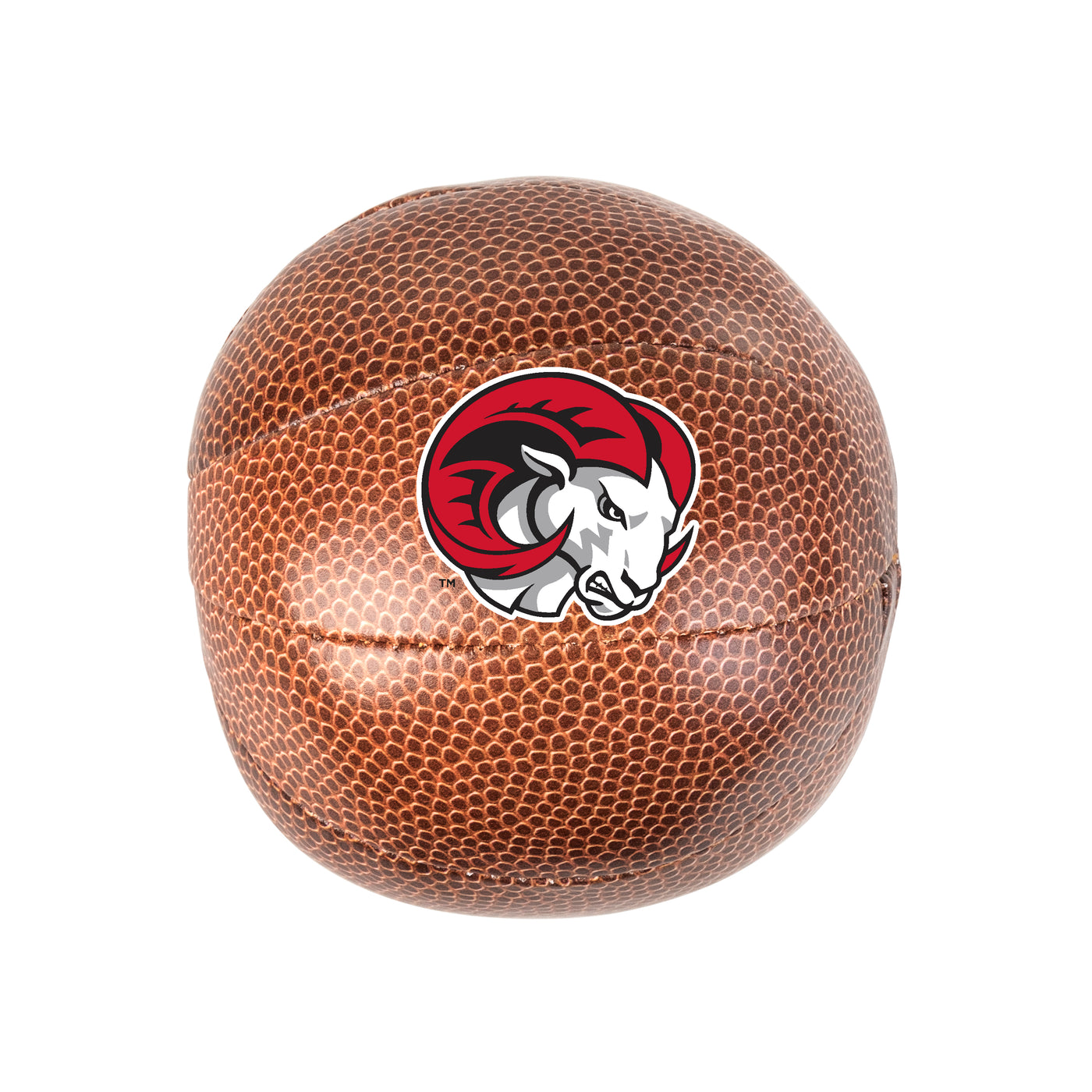 Winston Salem St Micro Soft Basketball