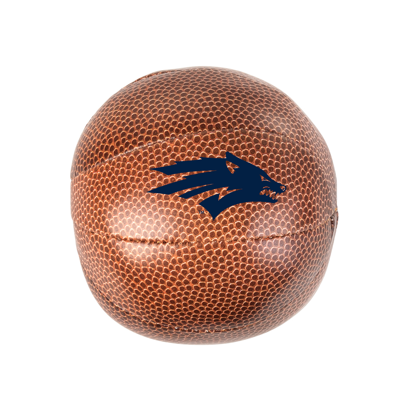 Nevada Micro Soft Basketball