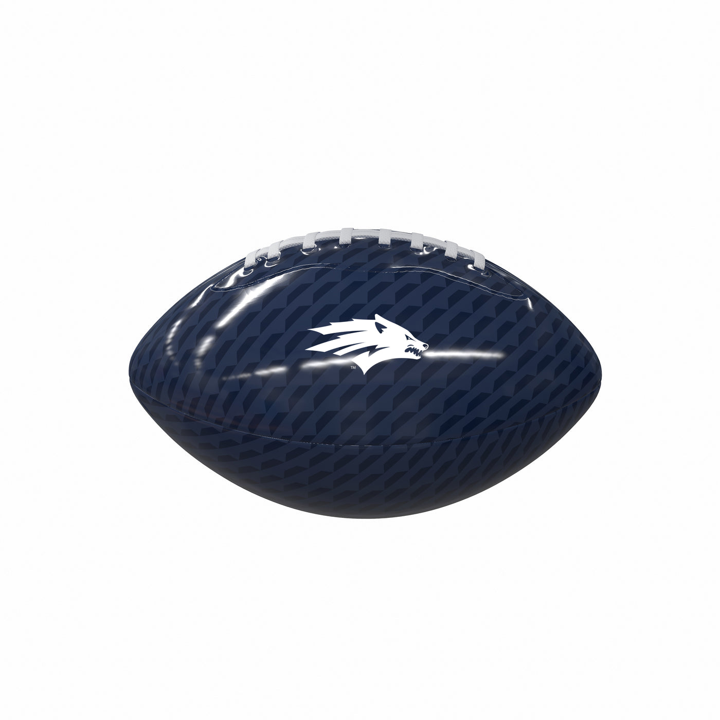 Nevada Carbon Fiber Mini Size Glossy Football