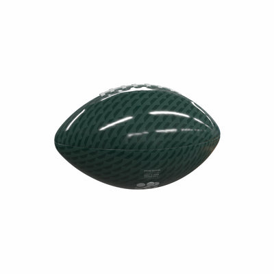 North Dakota State Carbon Fiber Mini Size Glossy Football