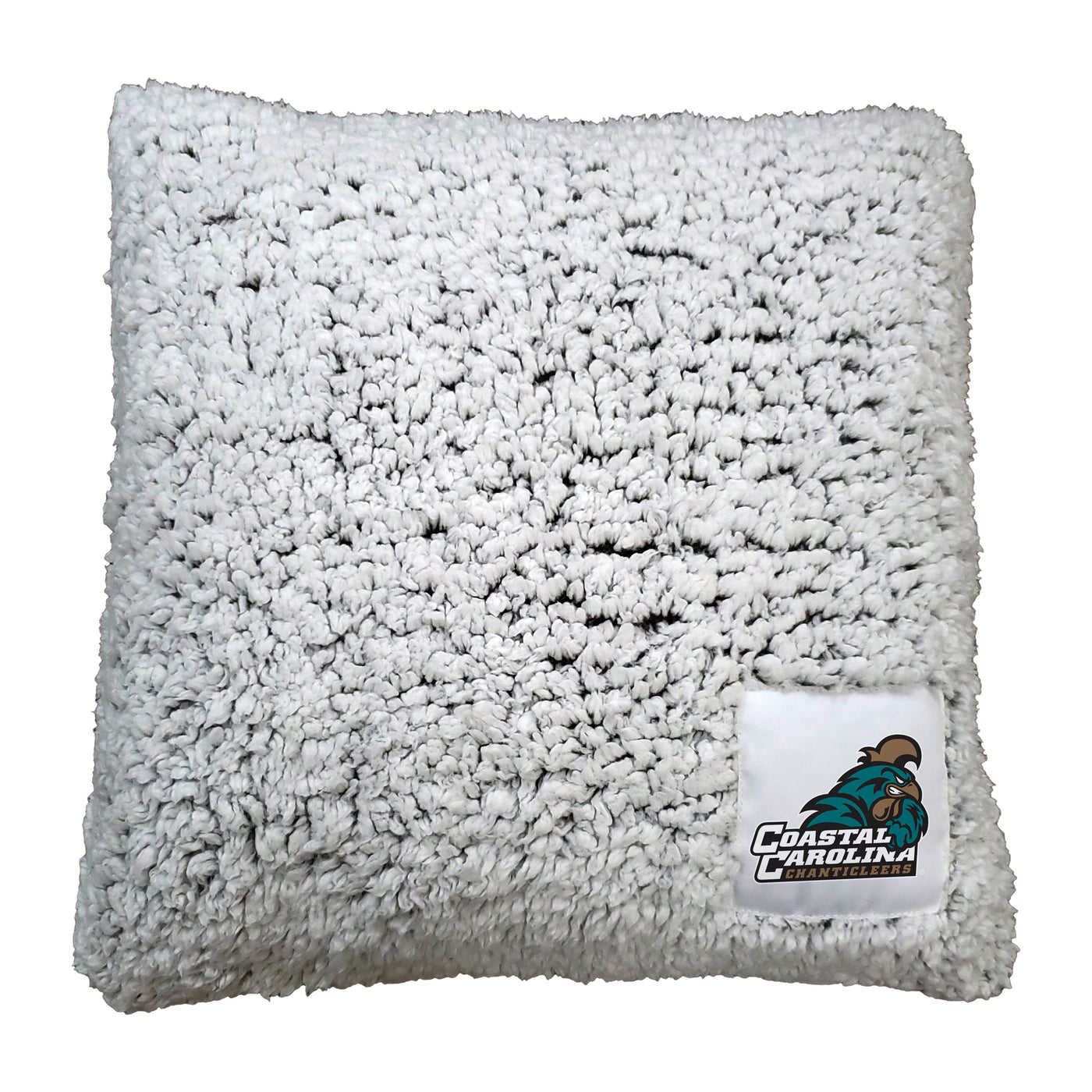 Coastal Carolina Campus Colors Frosty Throw Pillow