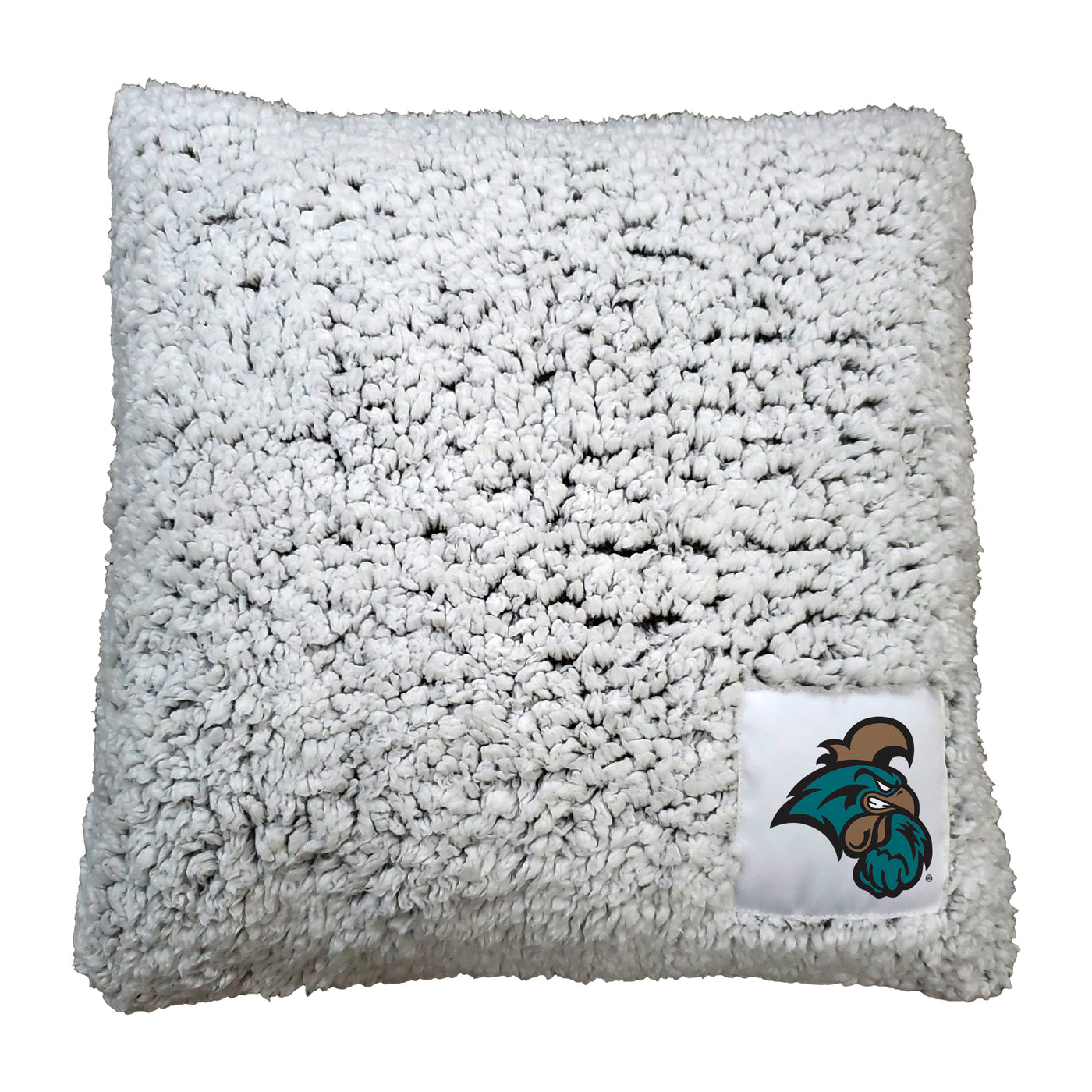 Coastal Carolina Frosty Throw Pillow - Logo Brands