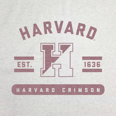 Harvard Sublimated Sweatshirt Blanket - Logo Brands