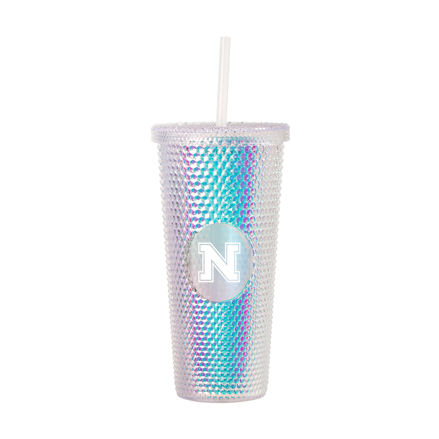 Northern Michigan 24oz Iridescent Studded Tumbler