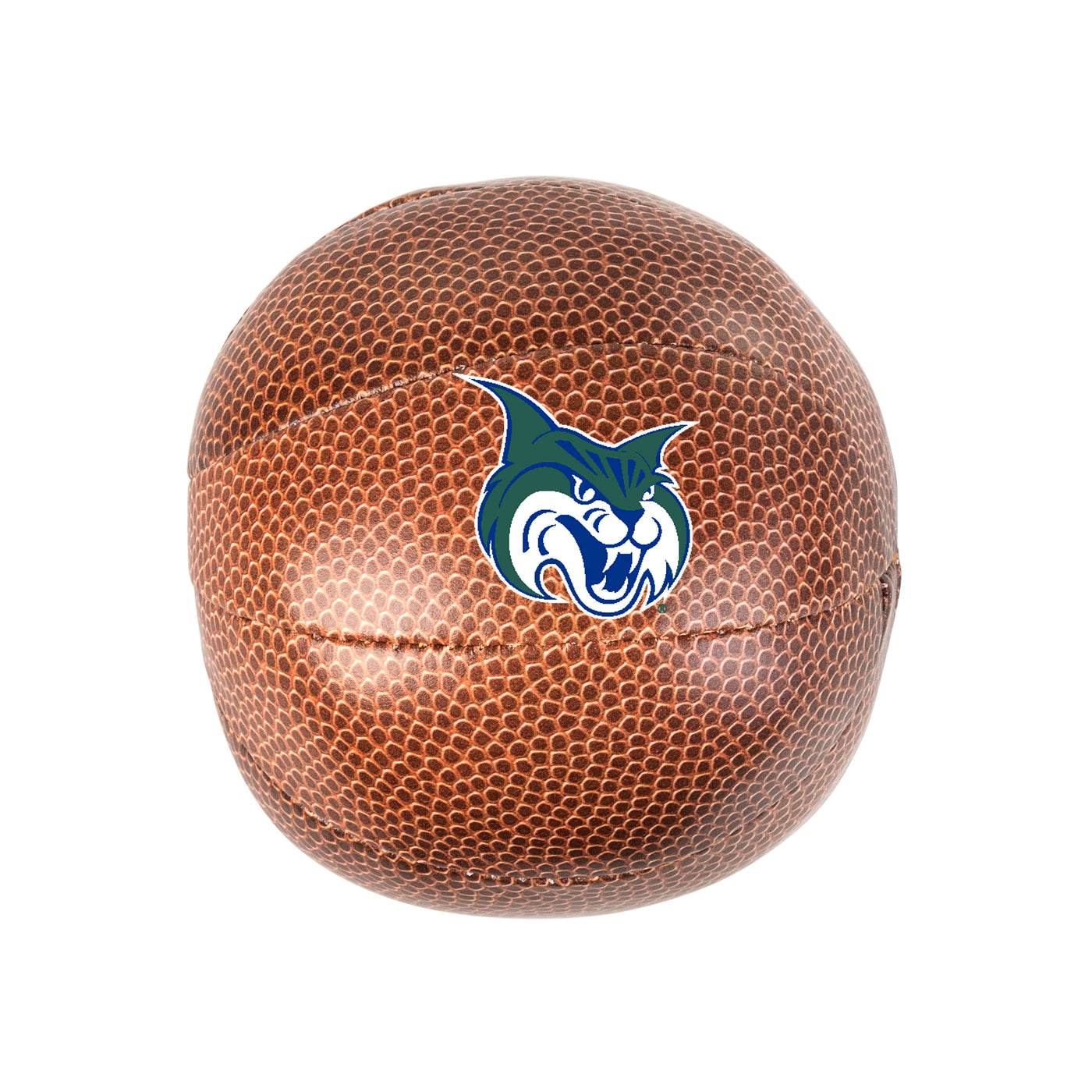 Georgia College Micro Soft Basketball