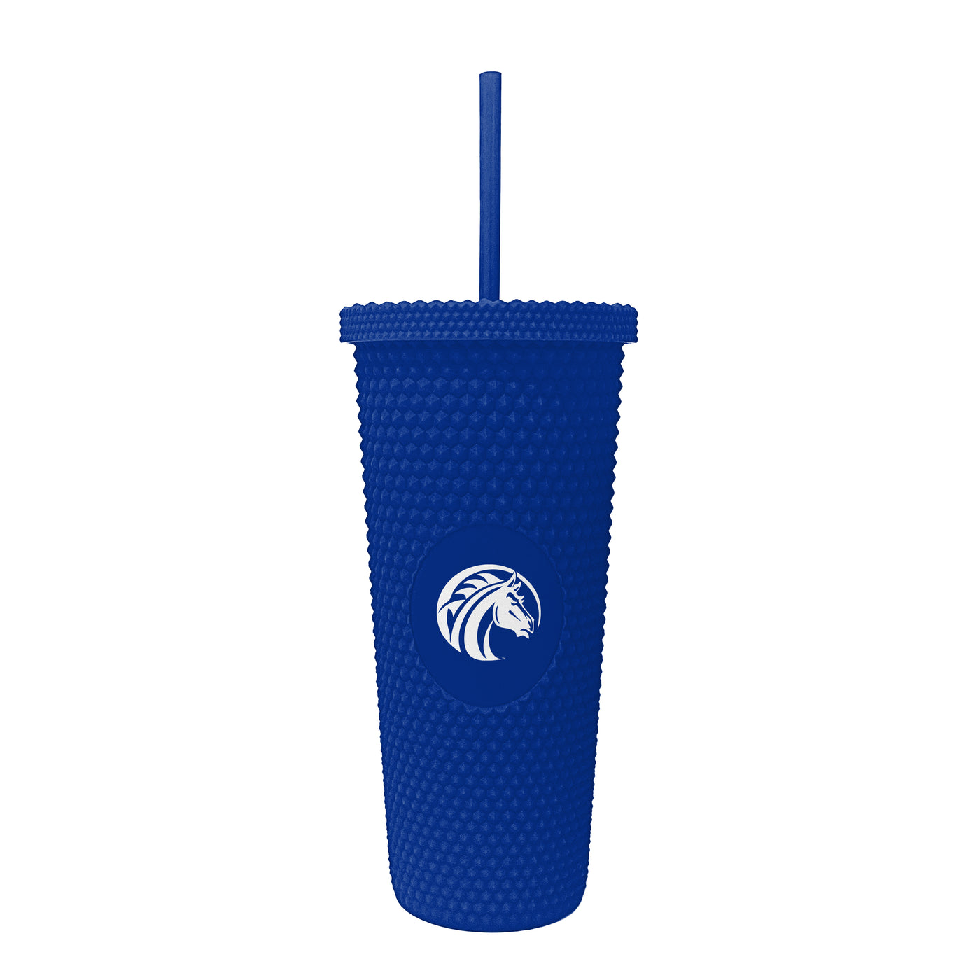 Fayetteville State 24oz Studded Tumbler