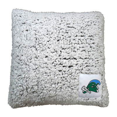 Tulane Frosty Throw Pillow - Logo Brands