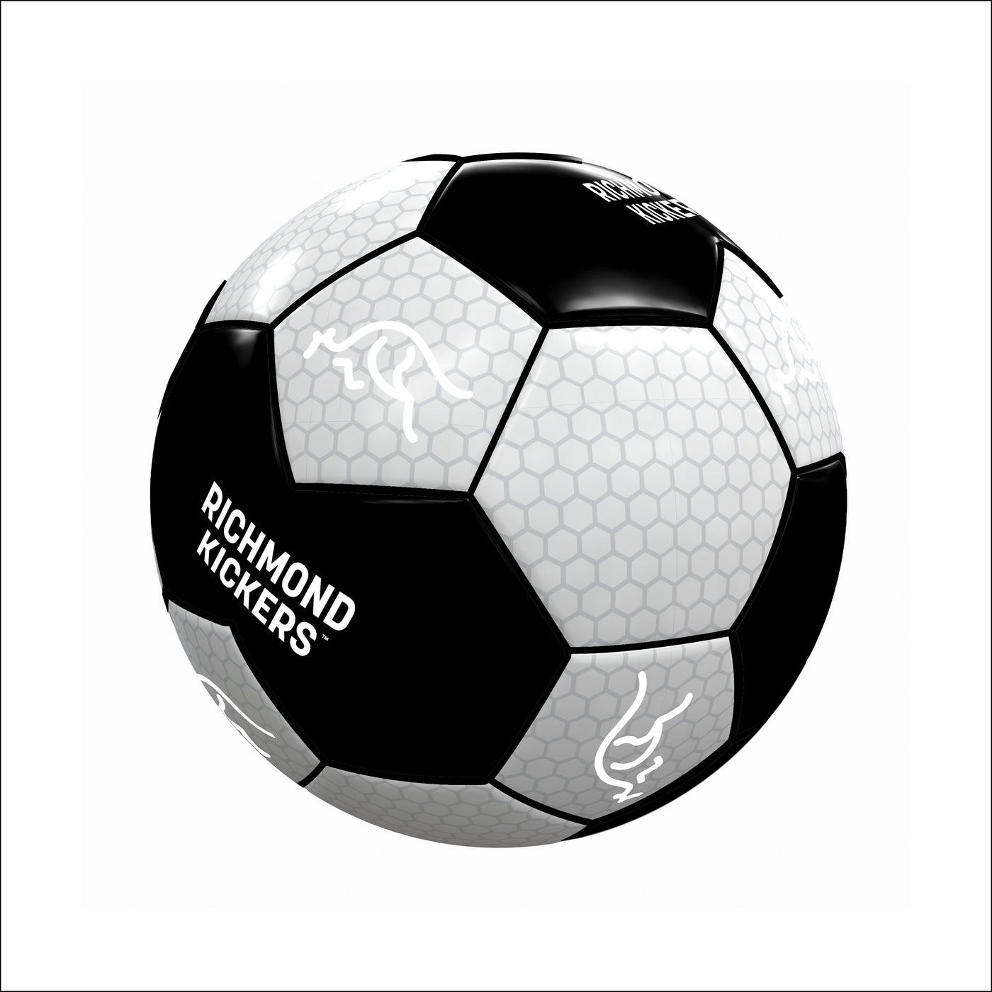 Richmond Kickers Mini Soccer Ball