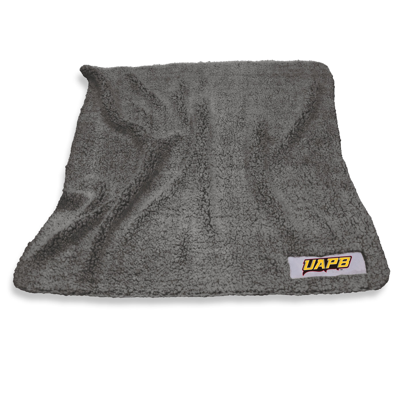 Arkansas-Pine Bluff Color Frosty Fleece - Logo Brands