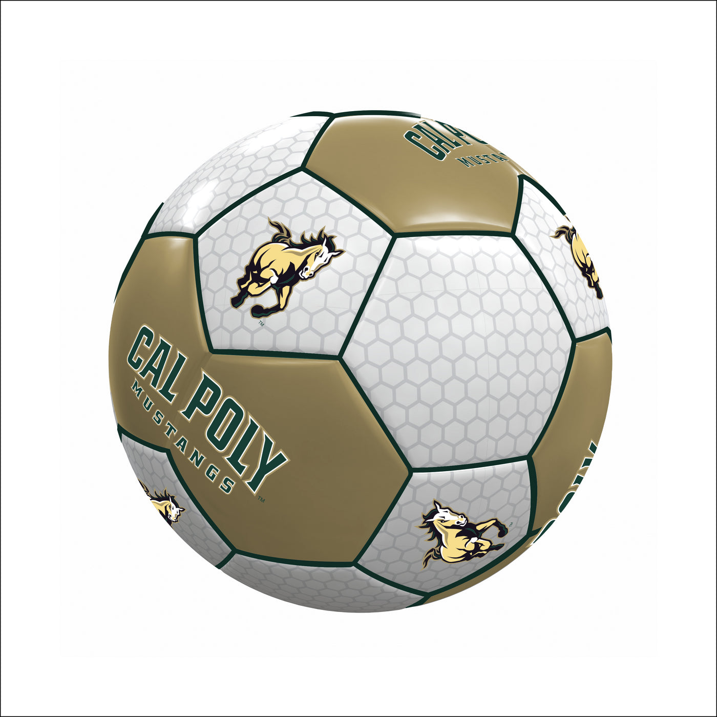 Cal Poly State Size 1 Soccer Ball
