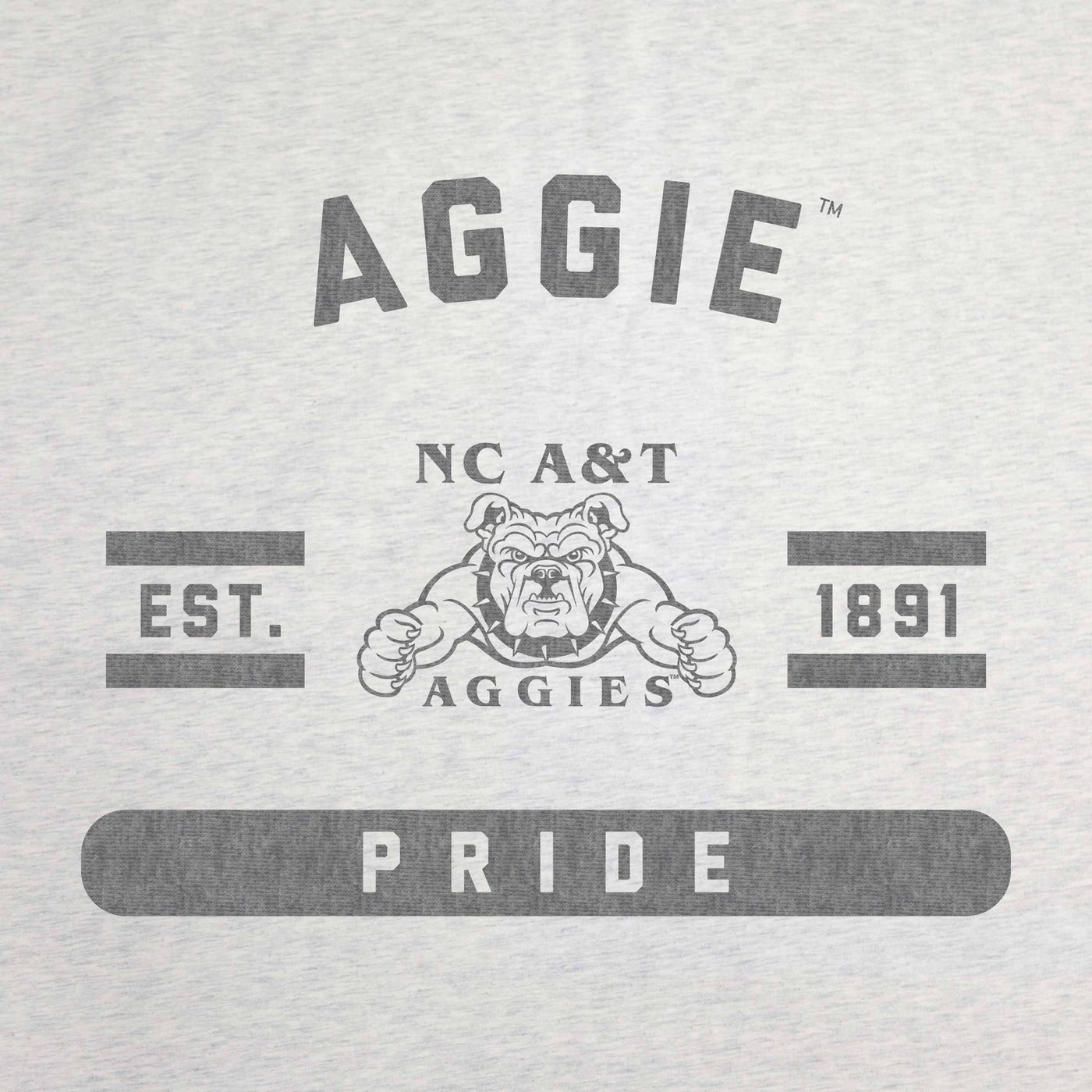 NC A&T Sublimated Sweatshirt Blanket