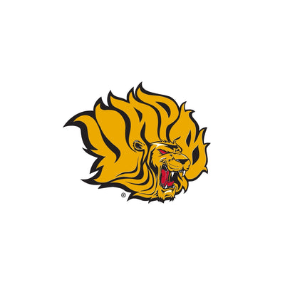 Arkansas Pine Bluff