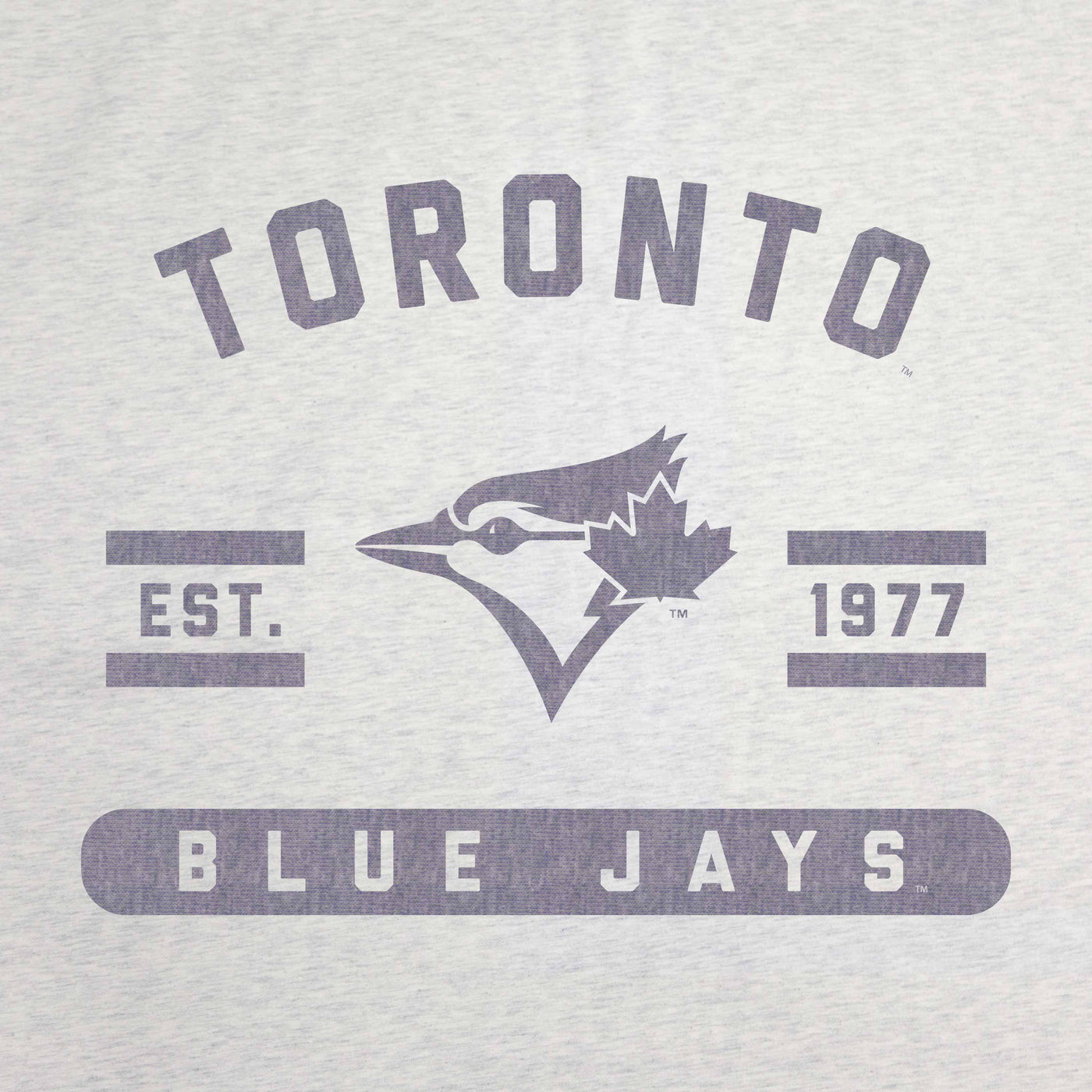 Toronto Blue Jays Oatmeal Sweatshirt Blanket