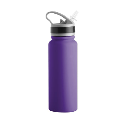 Baltimore Ravens Logo 25oz Stainless Single Wall Flip Top Bottle