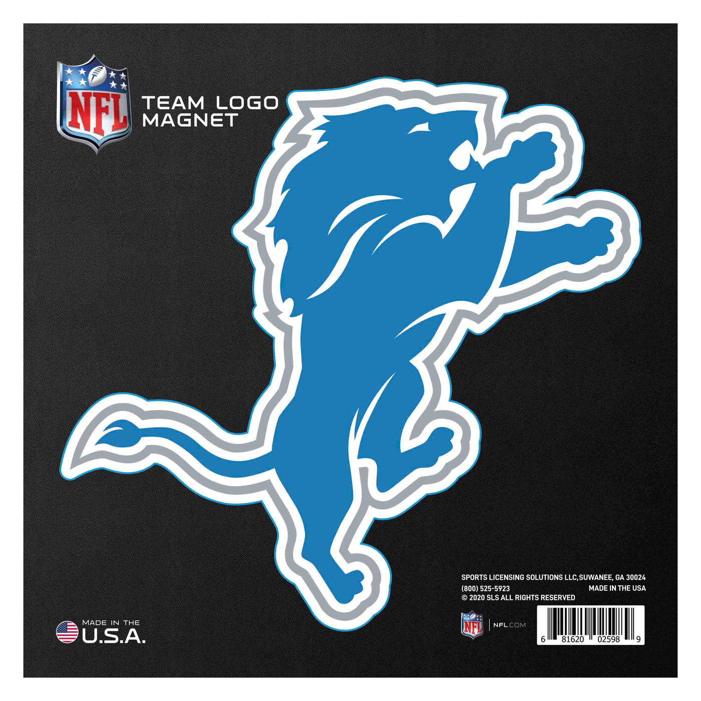 NFL - Detroit Lions MAGNETLARGE