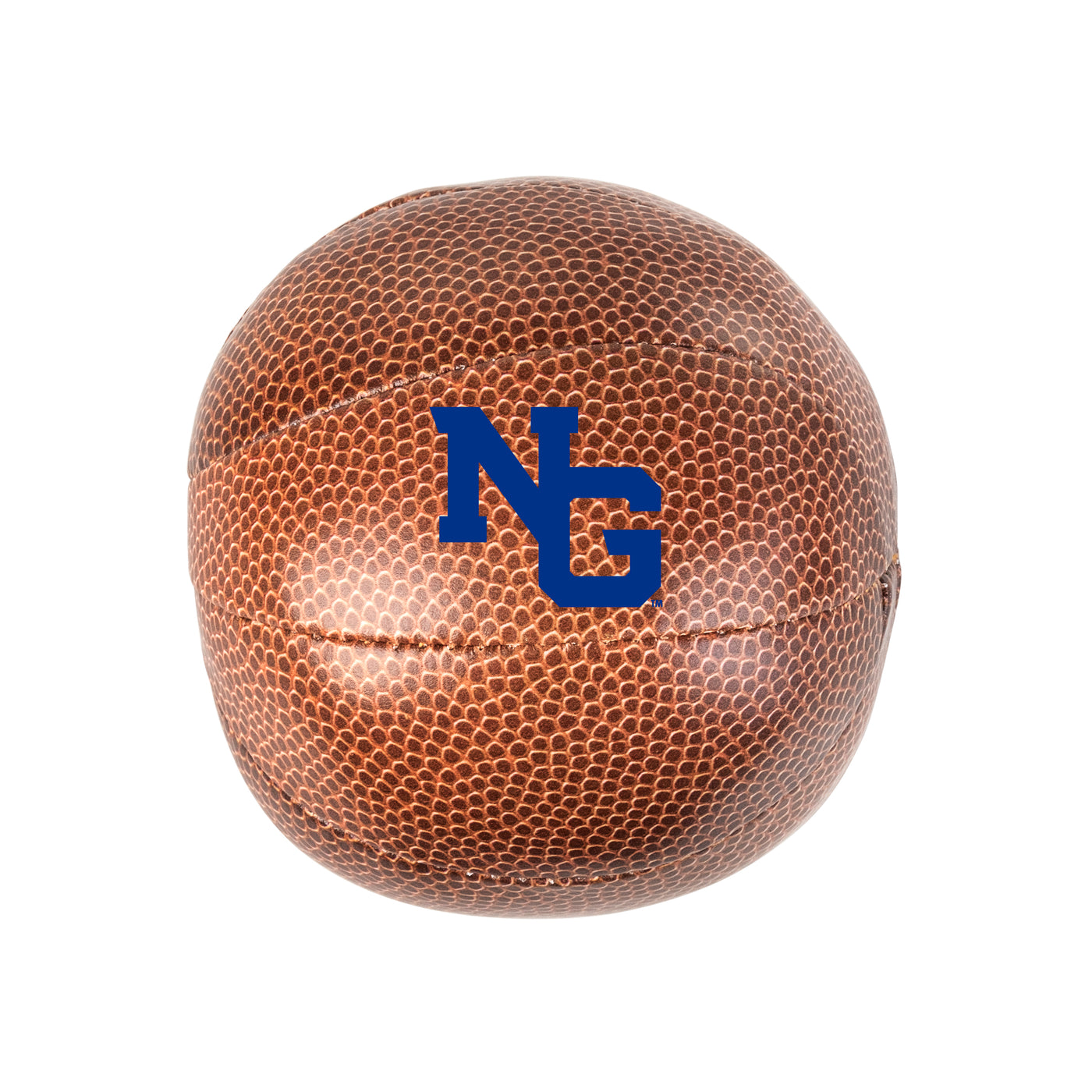 North Georgia Micro Soft Basketball