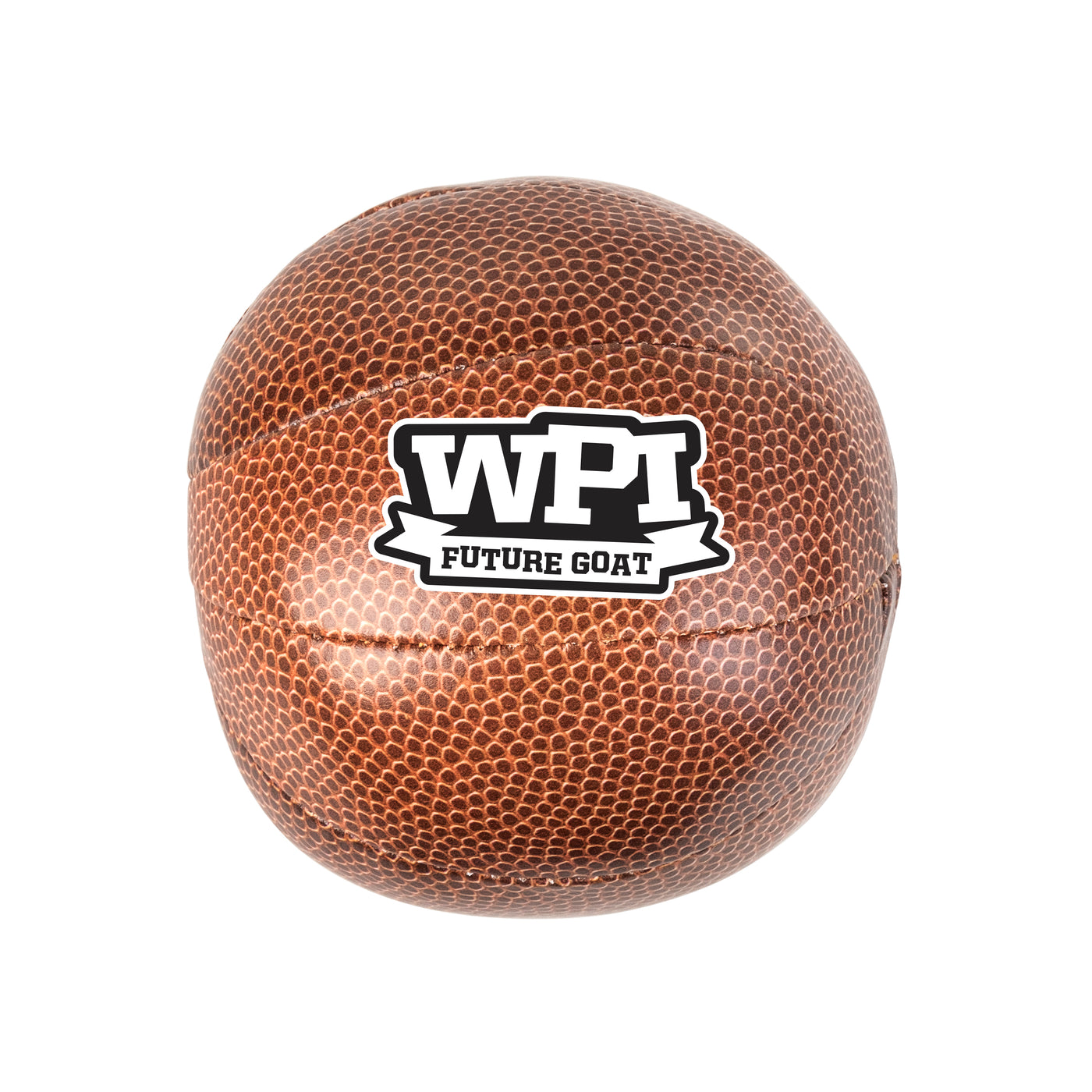 Worcester Polytech Micro Soft Basketball