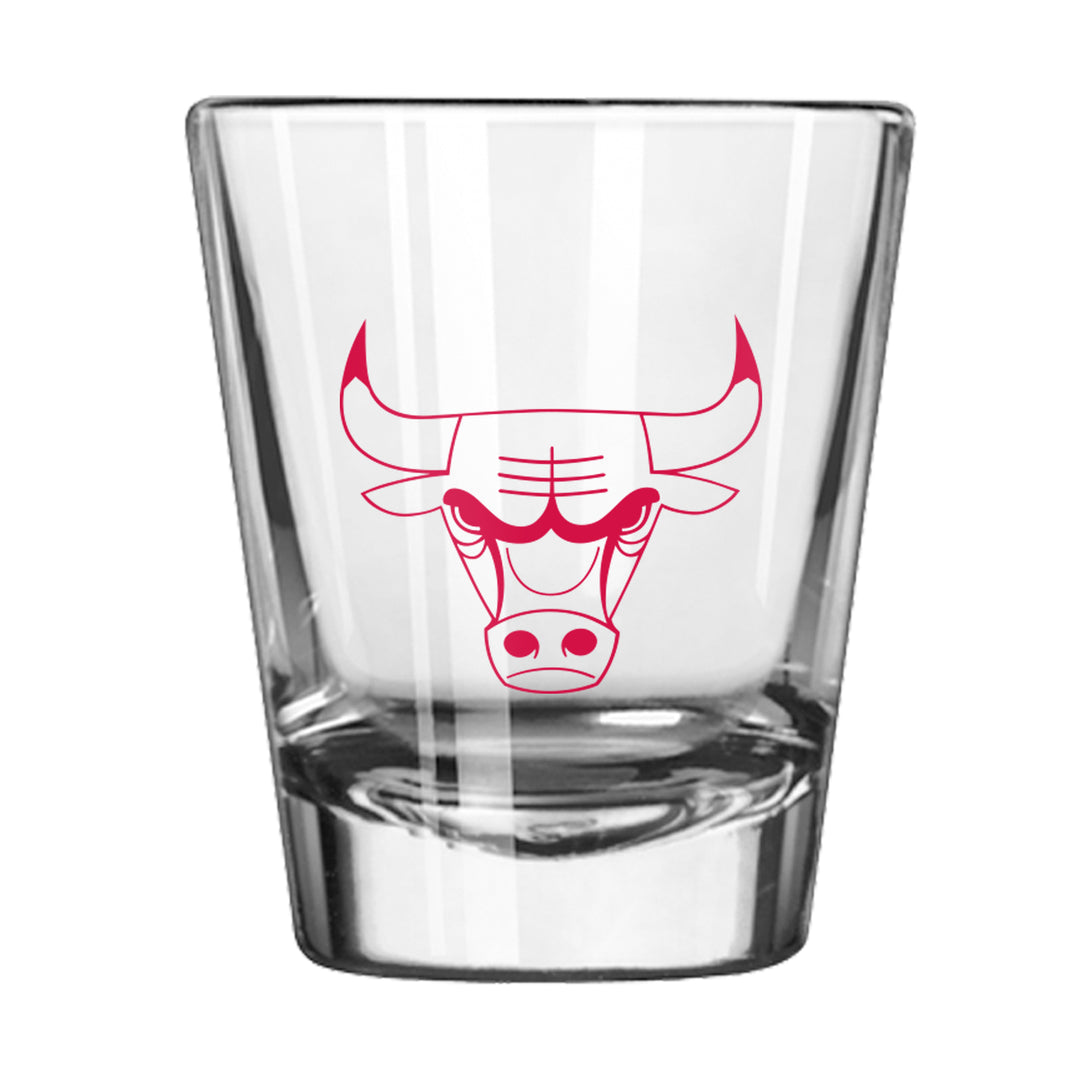 Chicago Bulls