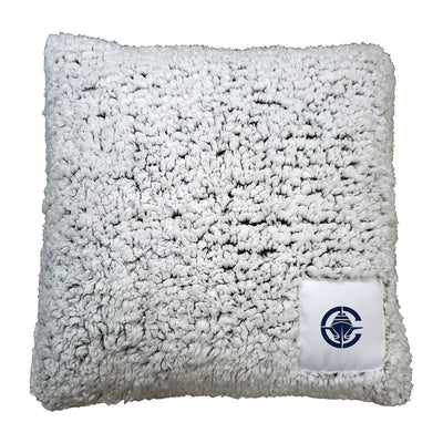 Los Angeles Clippers Frosty Throw Pillow - Logo Brands