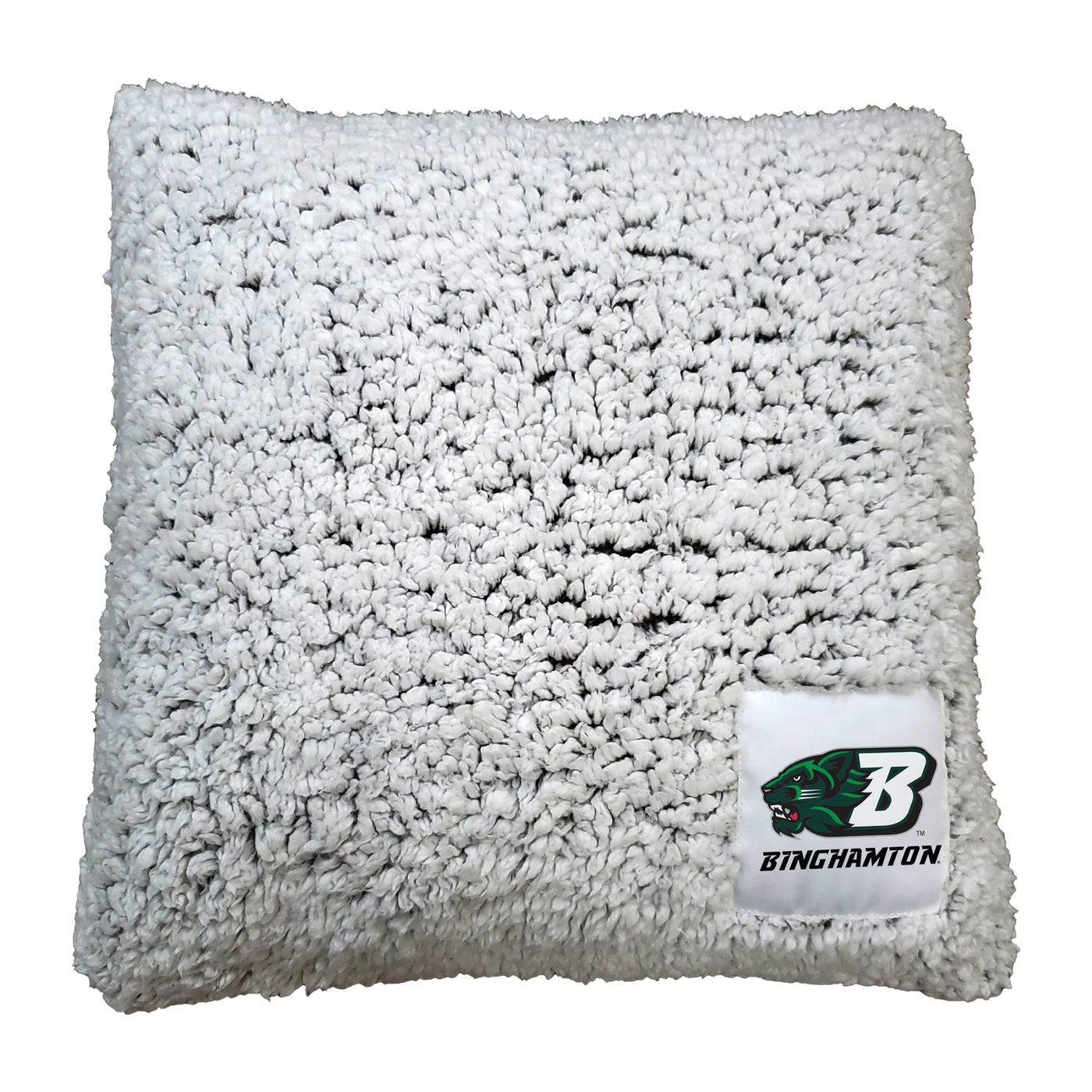 Binghamton Frosty Throw Pillow