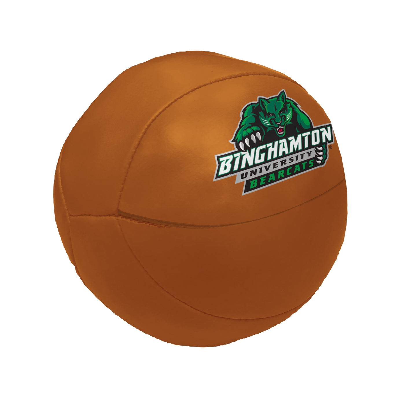 Binghamton Micro Soft Basketball