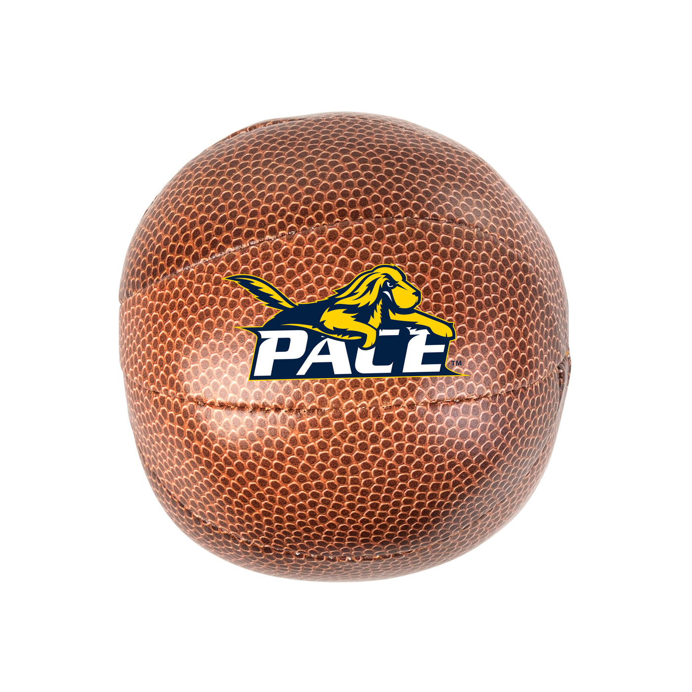 Pace University - Pleasantville Briarcliff Campus Micro Soft Basketball