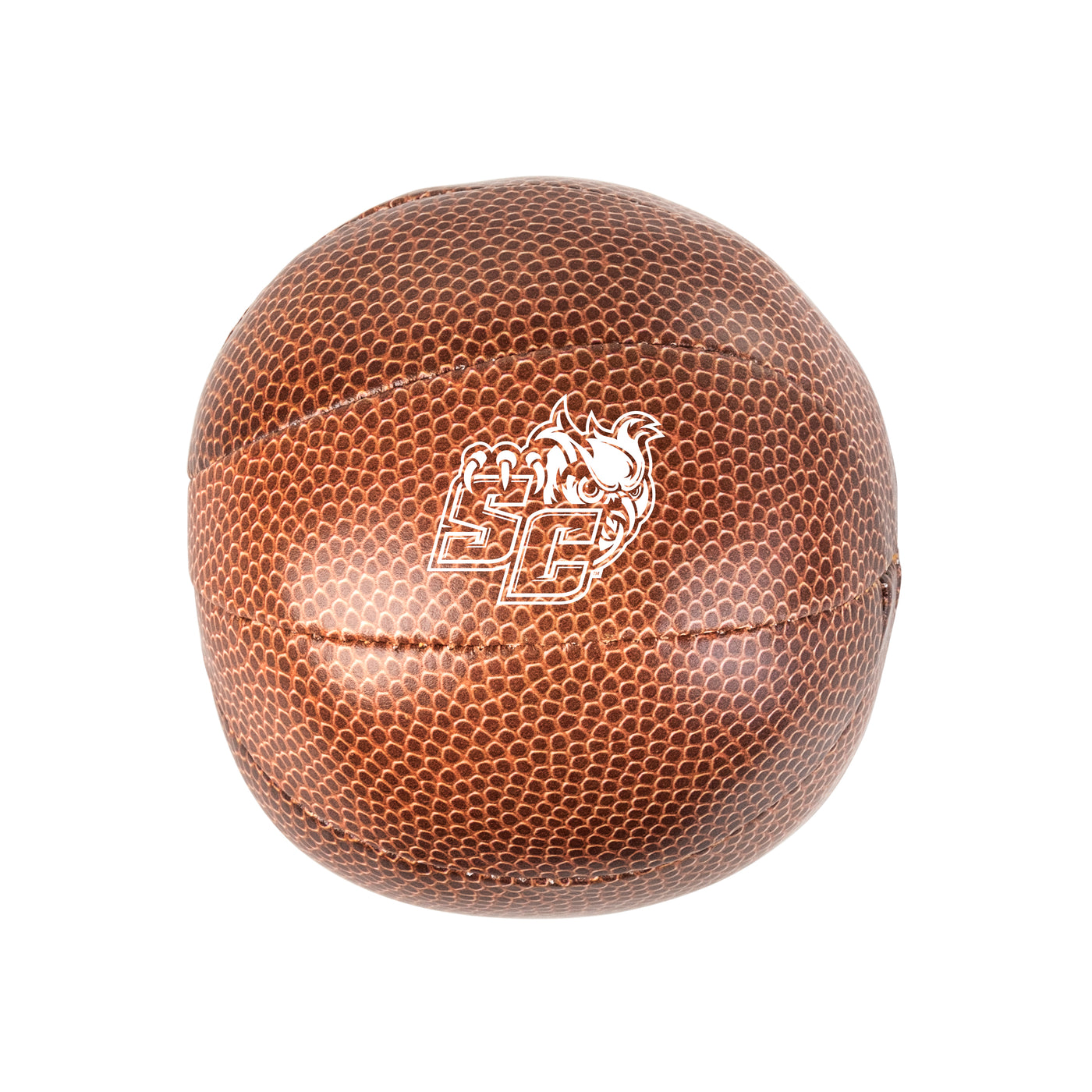 Southern Connecticut State Micro Soft Basketball