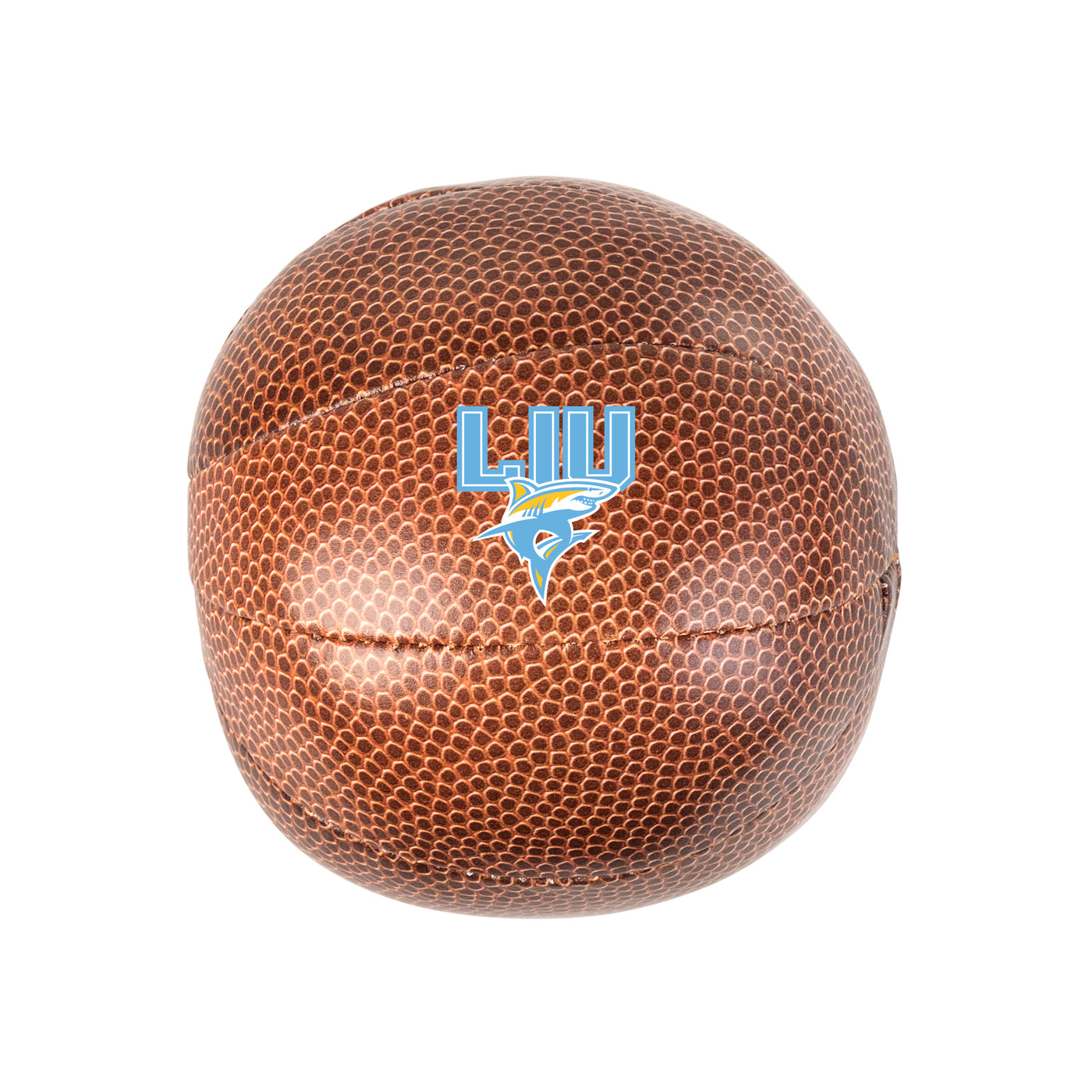 Long Island U Post Campus Micro Soft Basketball