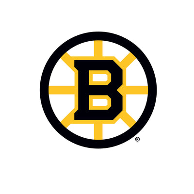 Boston Bruins