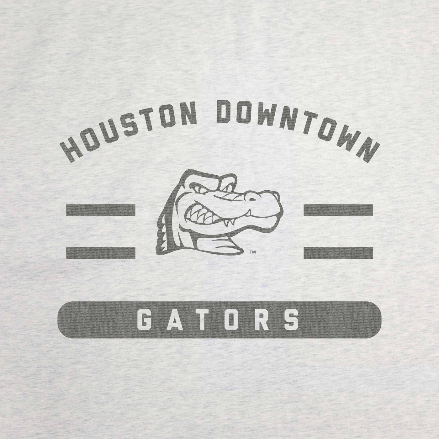 Houston Downtown Sublimated Sweatshirt Blanket