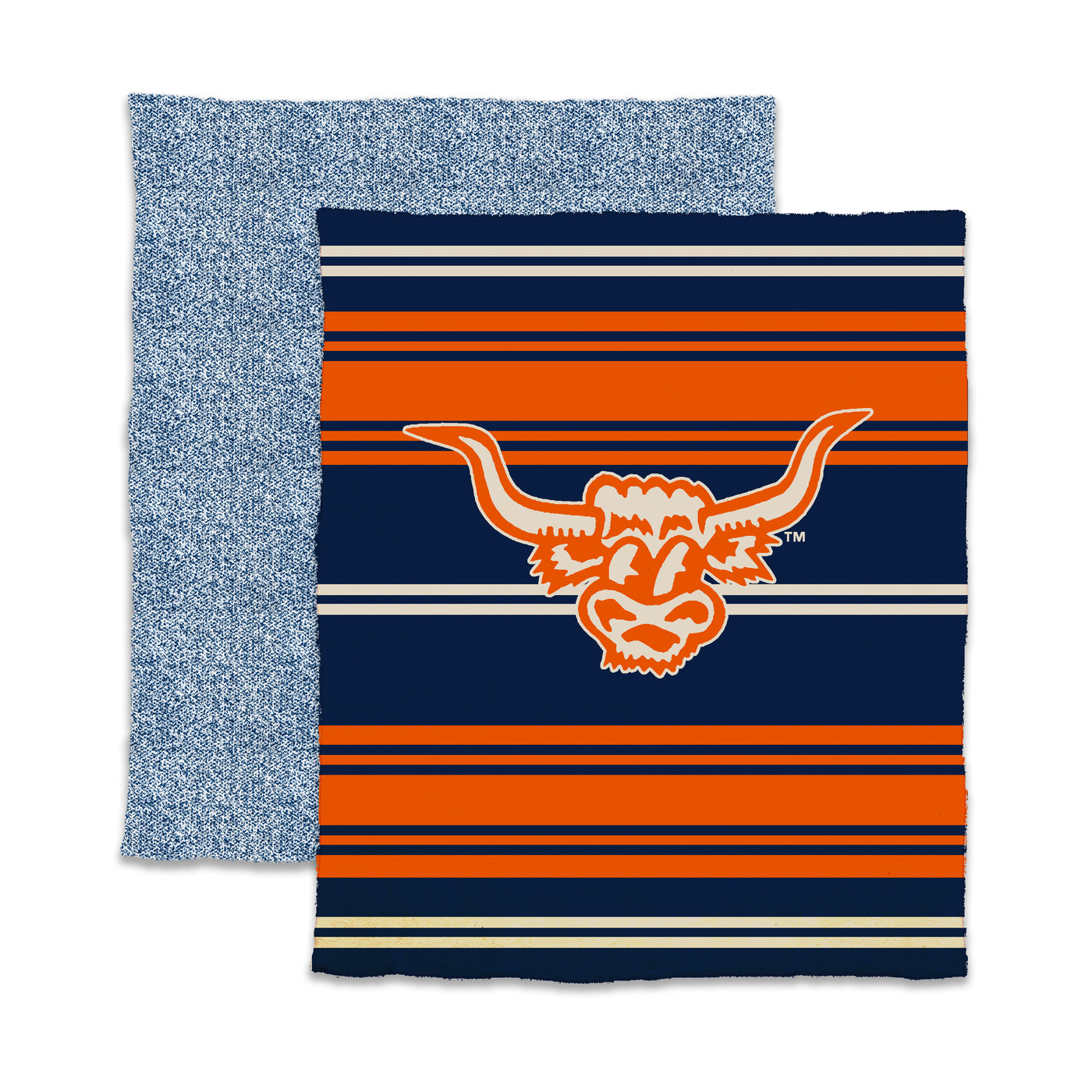Camp Longhorn Luxe Full Color Stripe Dreams Throw
