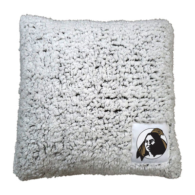 UNC Pembroke Frosty Throw Pillow - Logo Brands
