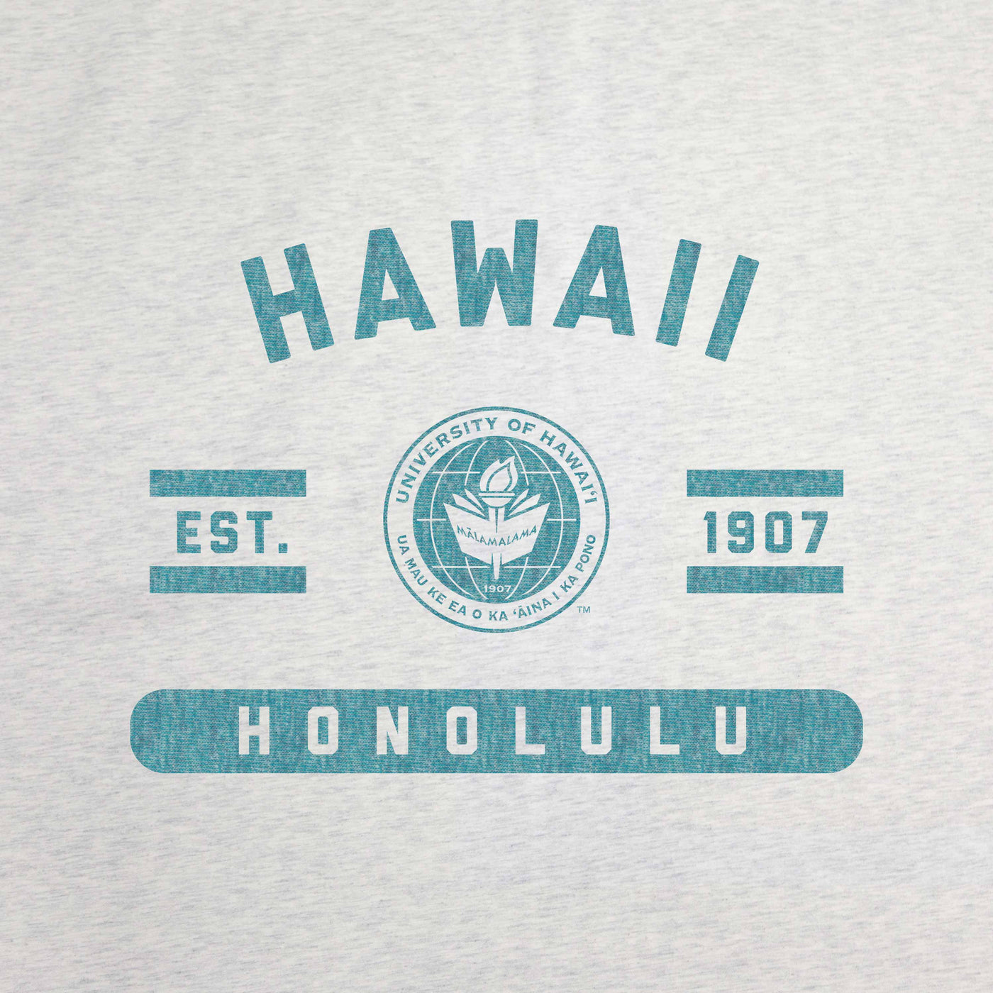 Hawaii - Honolulu Sublimated Sweatshirt Blanket - Logo Brands