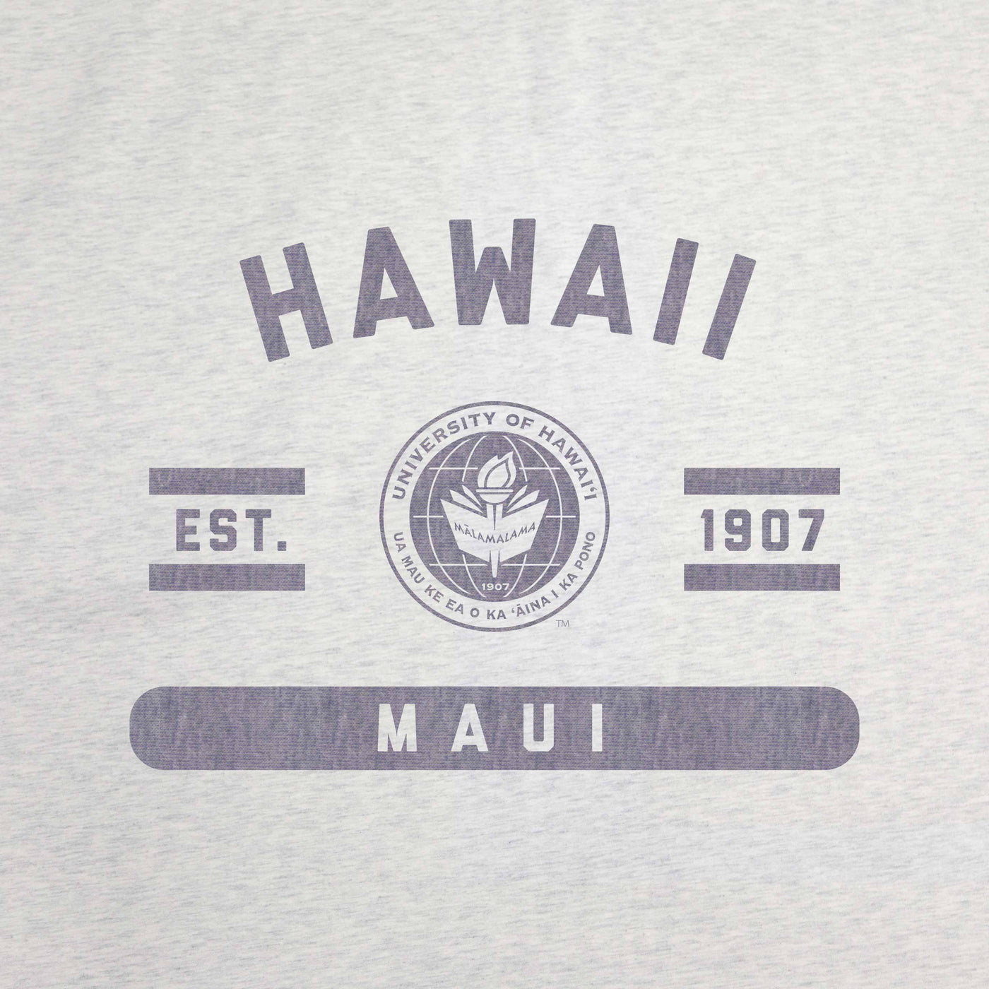 Hawaii - Maui Sublimated Sweatshirt Blanket - Logo Brands
