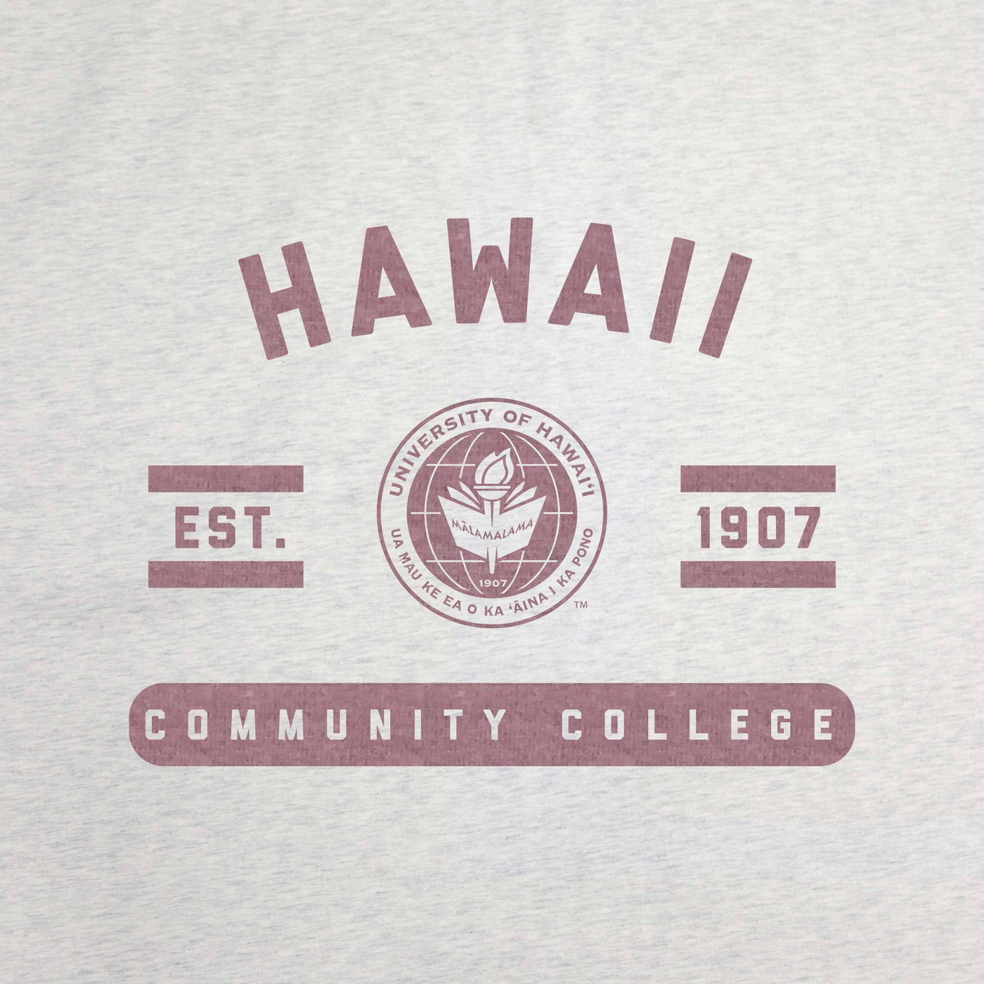 Hawaii Community Colleges Sublimated Sweatshirt Blanket - Logo Brands