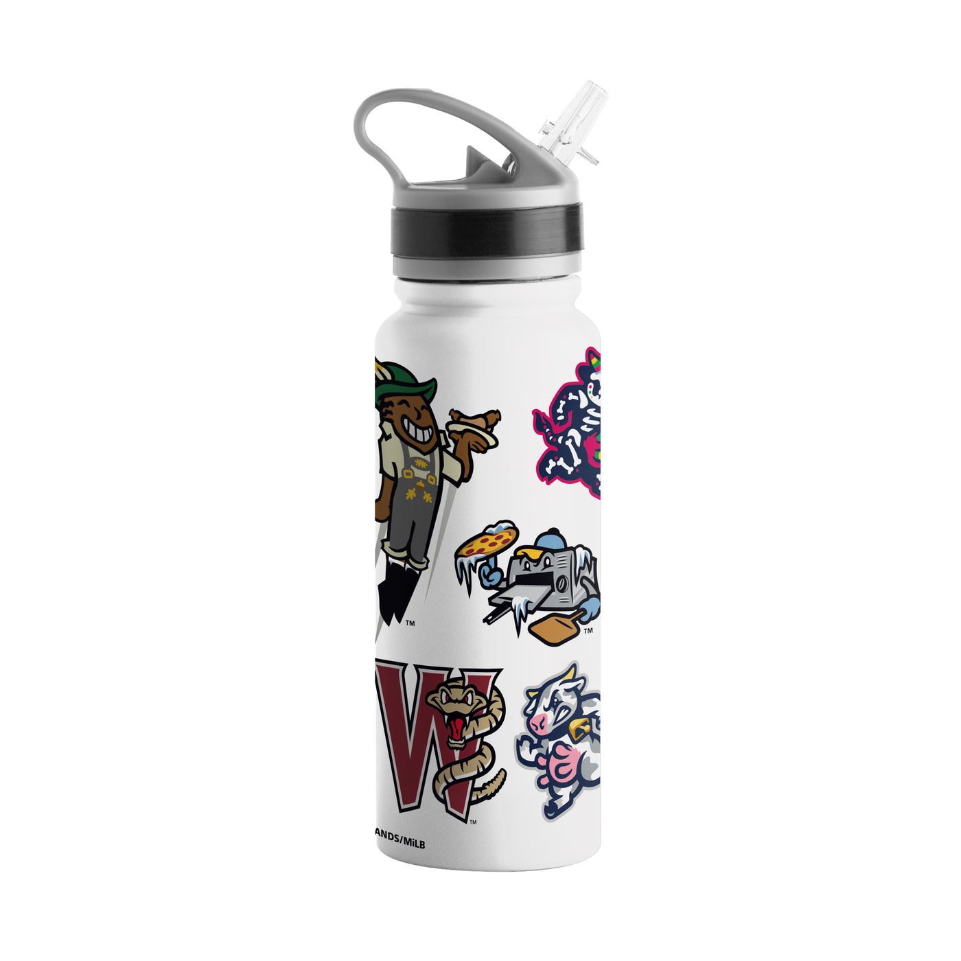 Wisconsin Timber Rattlers 25oz Native SingleWall FlipTop Bottle