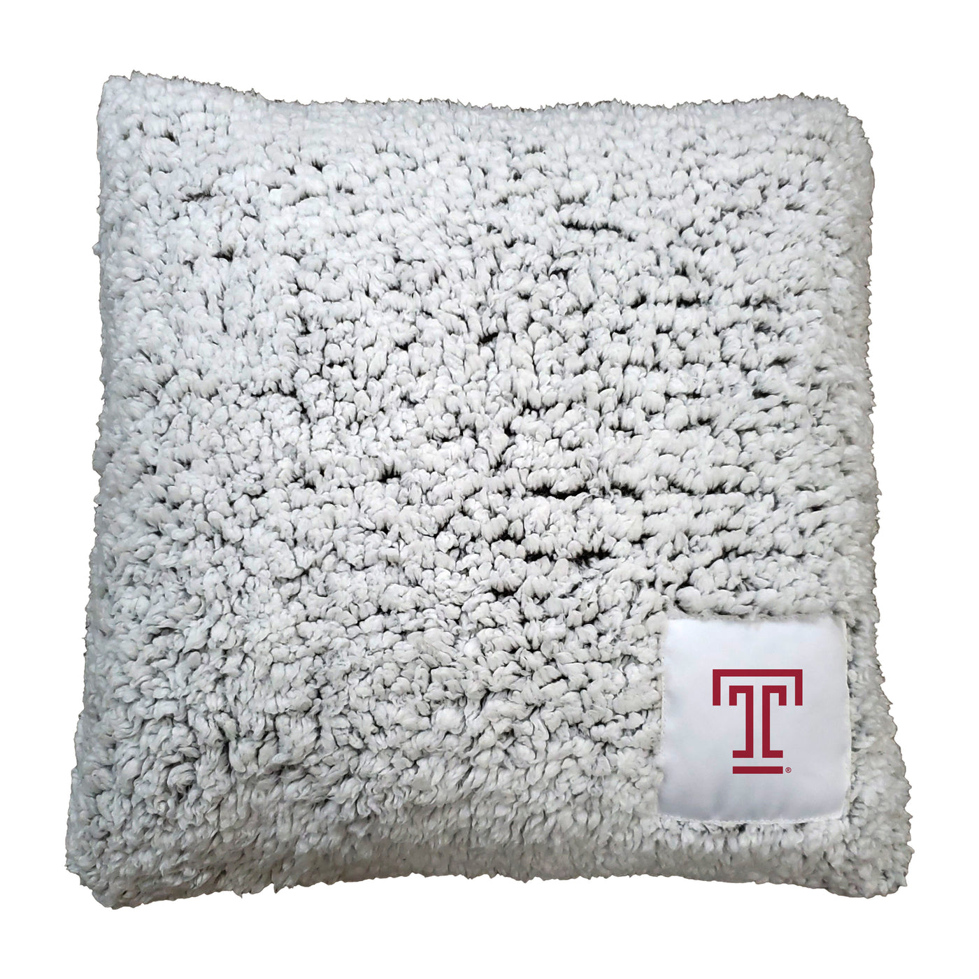 Temple Frosty Throw Pillow