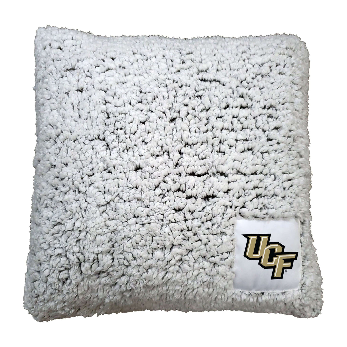 Central Florida Frosty Throw Pillow - Logo Brands