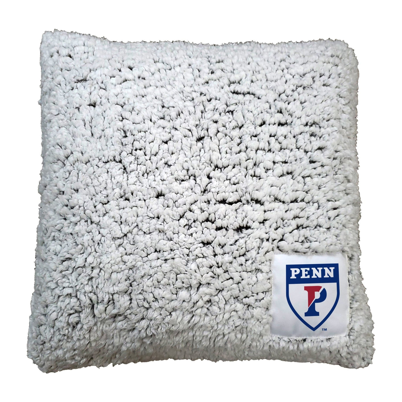 Pennsylvania U Frosty Throw Pillow - Logo Brands